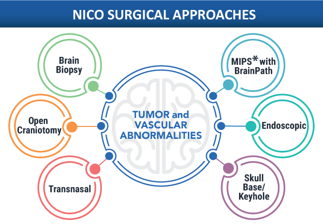 NICO Surgical Approaches - Tumor and Vascular Abnormalities